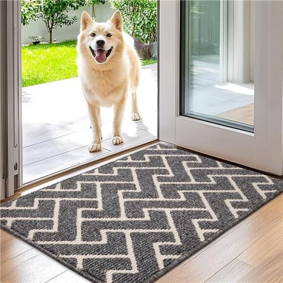 Indoor Doormat,Front Back Door Mat Rubber Backing Non Slip Door Mats, 20"x31.5" - Picture 1 of 7